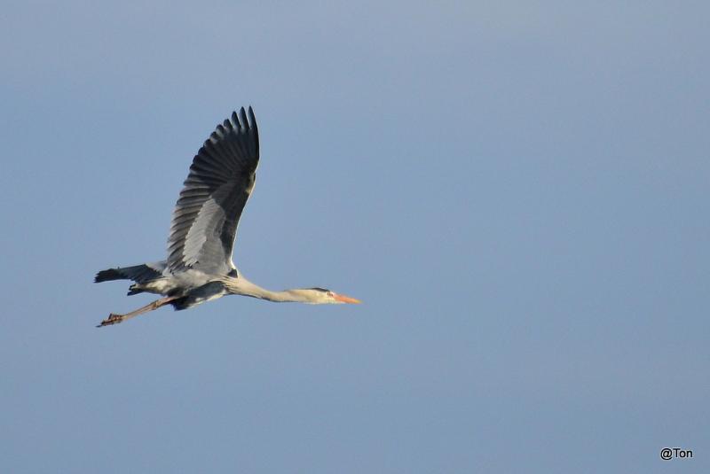 DSC_5132.JPG