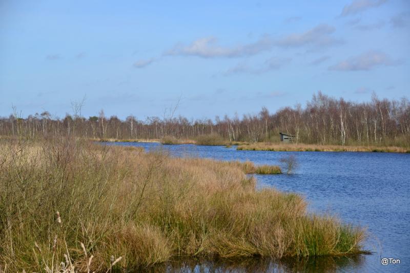 DSC_5366.JPG