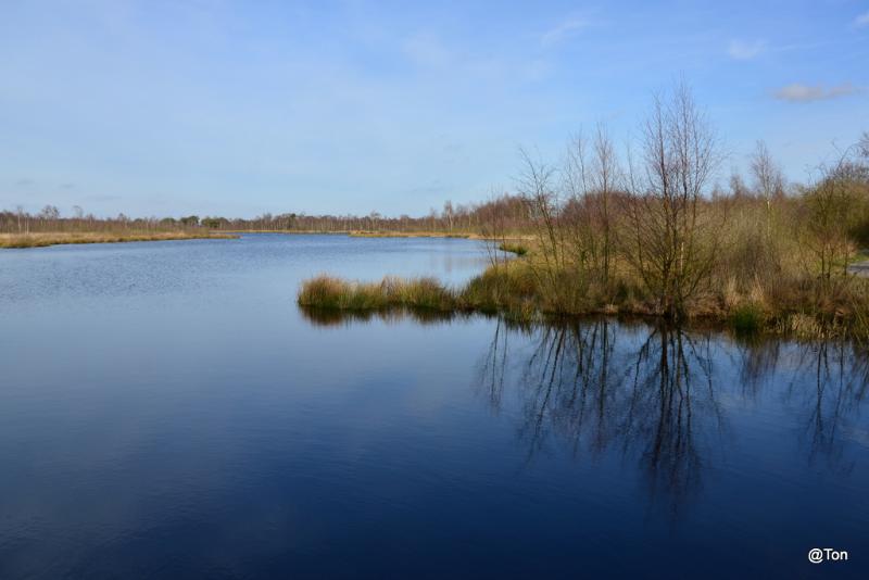 DSC_5372.JPG