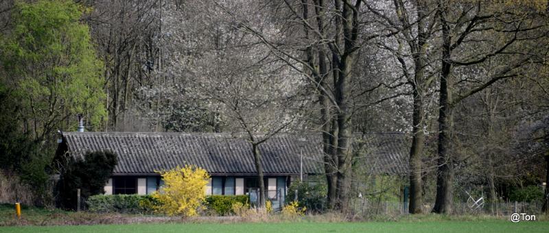 DSC_7751.JPG - De Immenhof