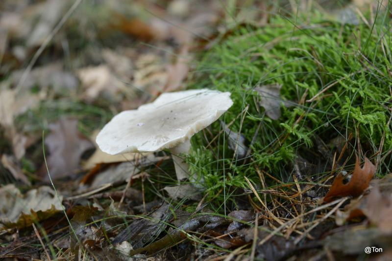 _DSC9005.JPG