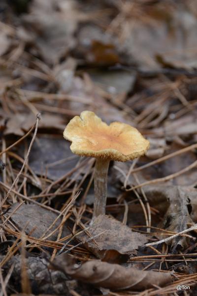 _DSC9108.JPG