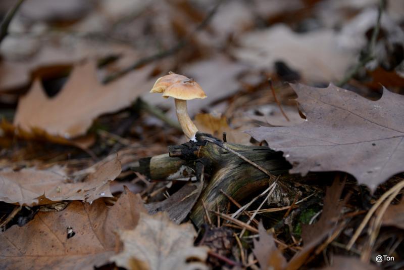 _DSC9125.JPG