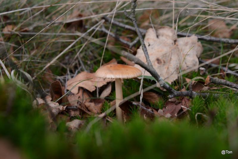 DSC_8304.JPG