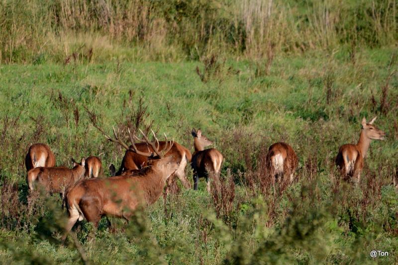 DSC_7583.JPG