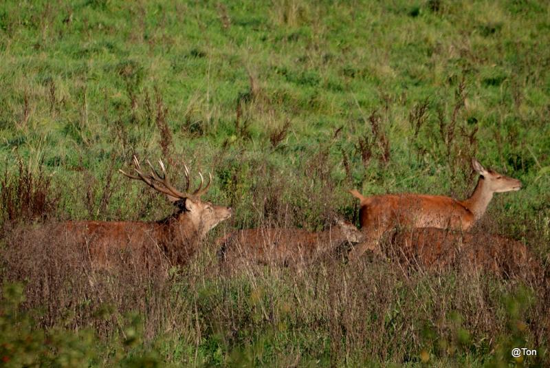 DSC_7607.JPG