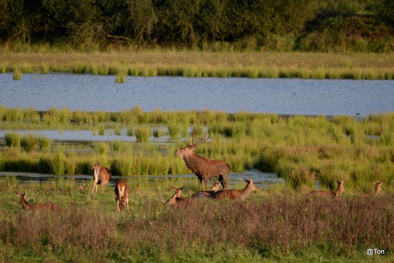 DSC_7662.JPG