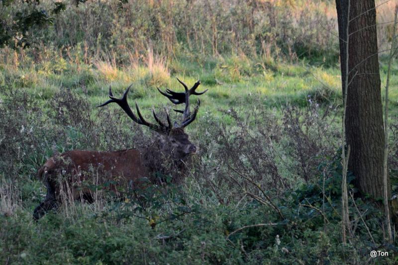 DSC_7715.JPG - Nummer 2