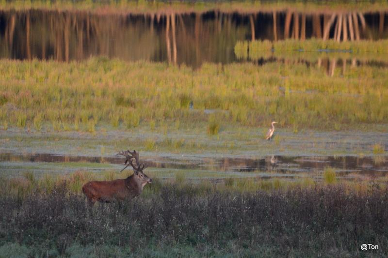 DSC_7724.JPG - Nummer 3