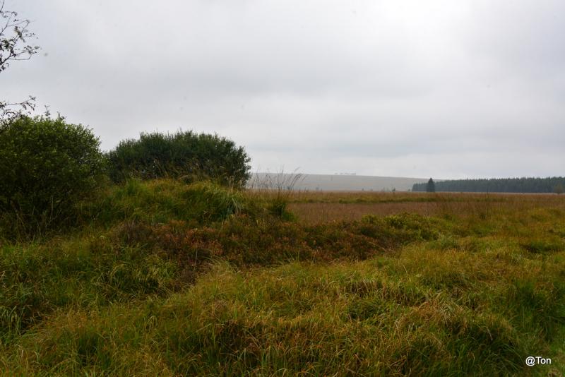 DSC_6044.JPG