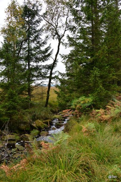 DSC_6068.JPG