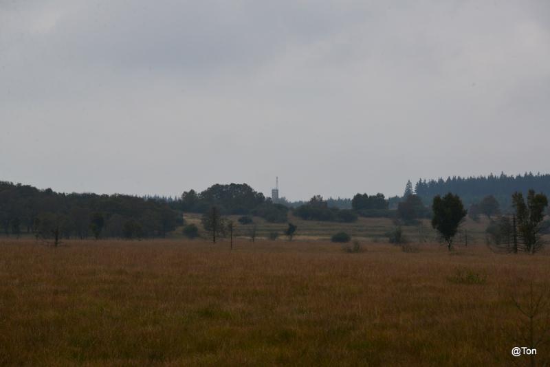 DSC_6077.JPG