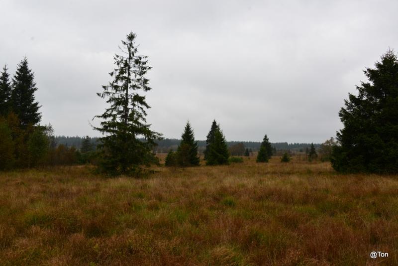 DSC_6096.JPG