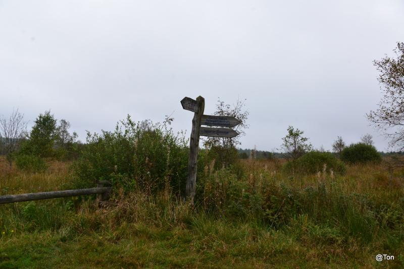 DSC_6102.JPG