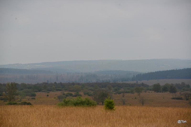 DSC_6118.JPG