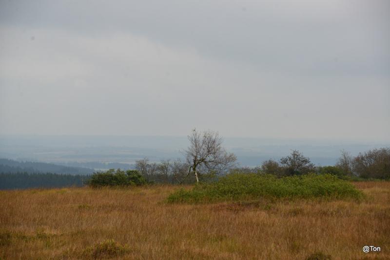 DSC_6125.JPG