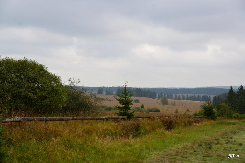 DSC_6129.JPG