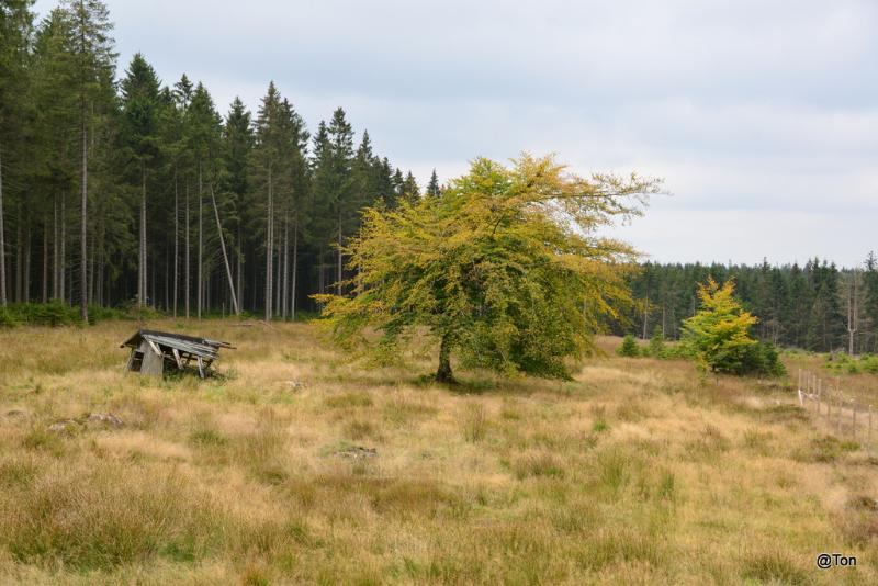 DSC_6131.JPG
