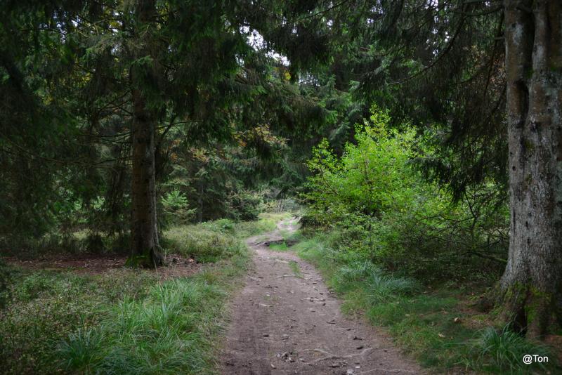 DSC_6142.JPG