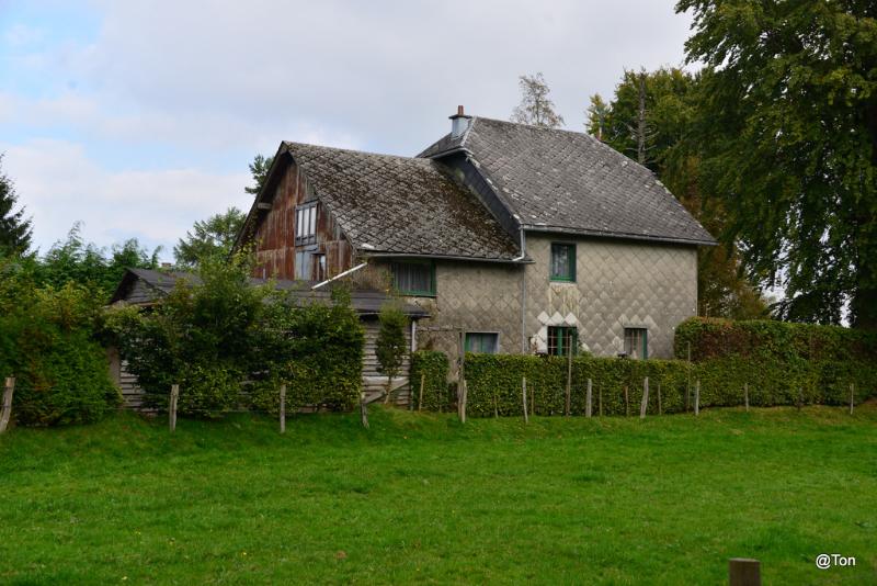 DSC_6143.JPG