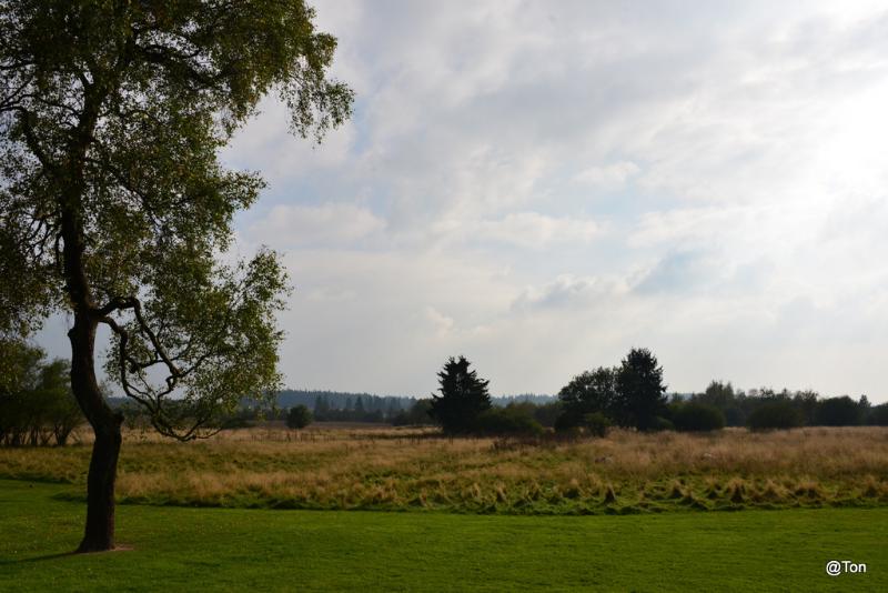 DSC_5973.JPG