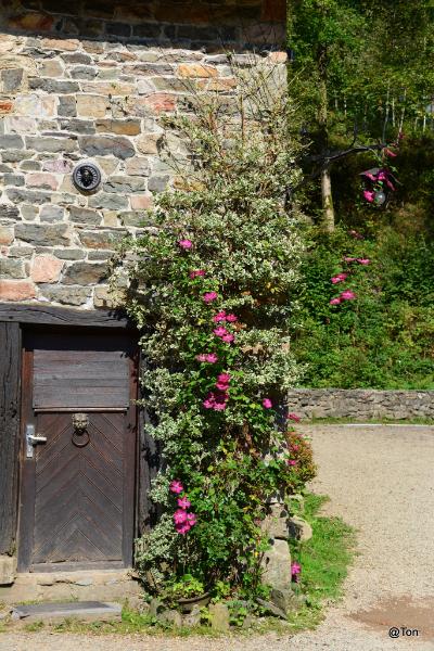 DSC_5656.JPG