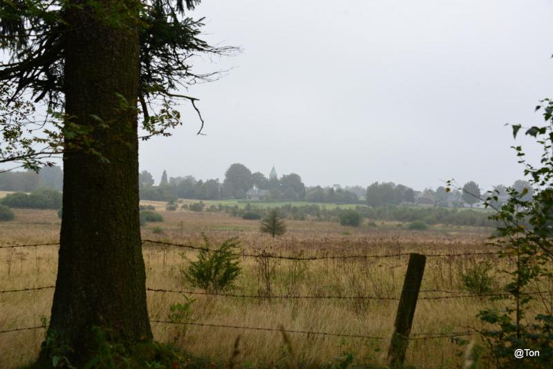 DSC_5829.JPG