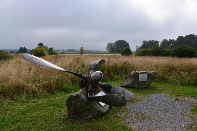 DSC_5908.JPG
