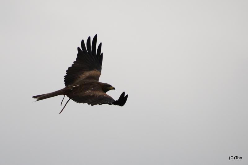 DSC_4949.JPG