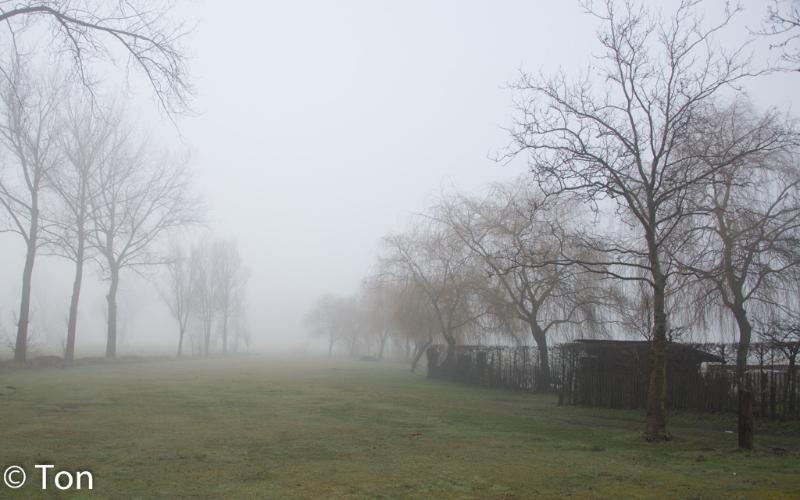 DSC_2459.jpg