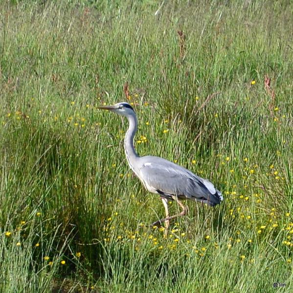 DSC_7610.JPG