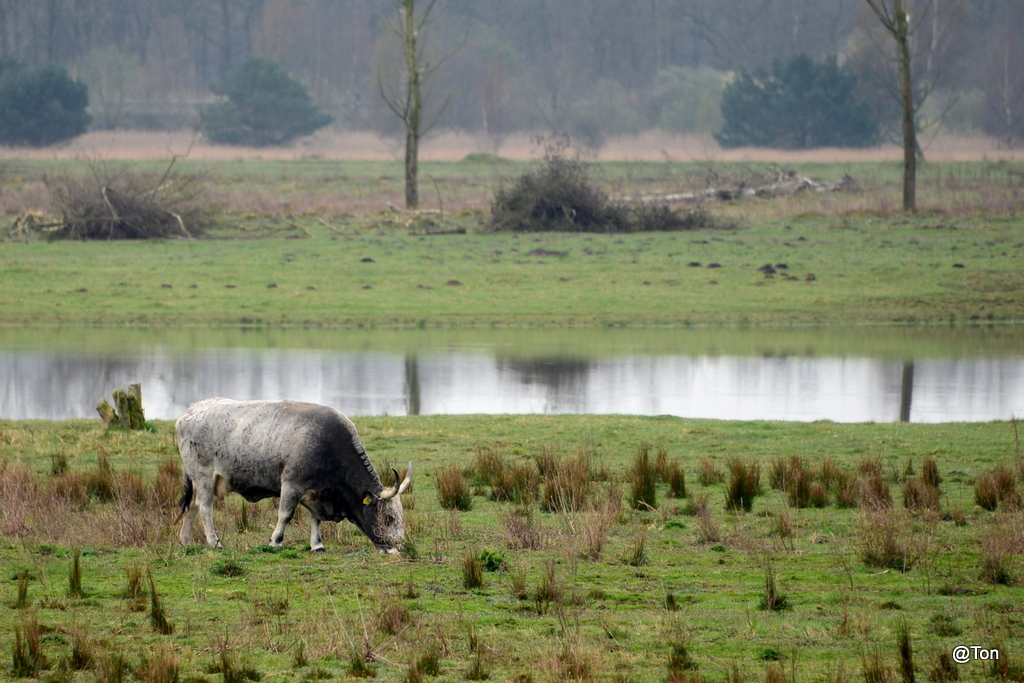 DSC_0384.JPG