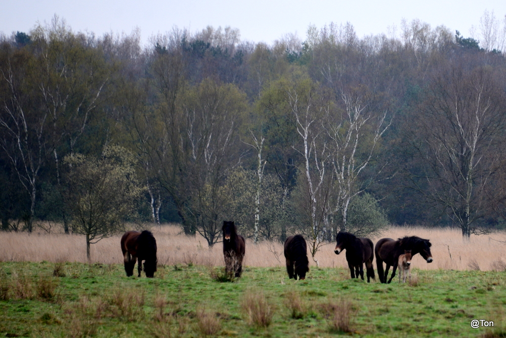 DSC_0389.JPG