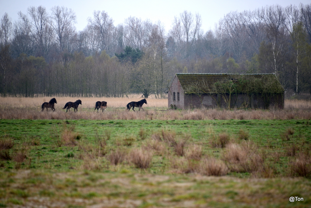 DSC_0395.JPG