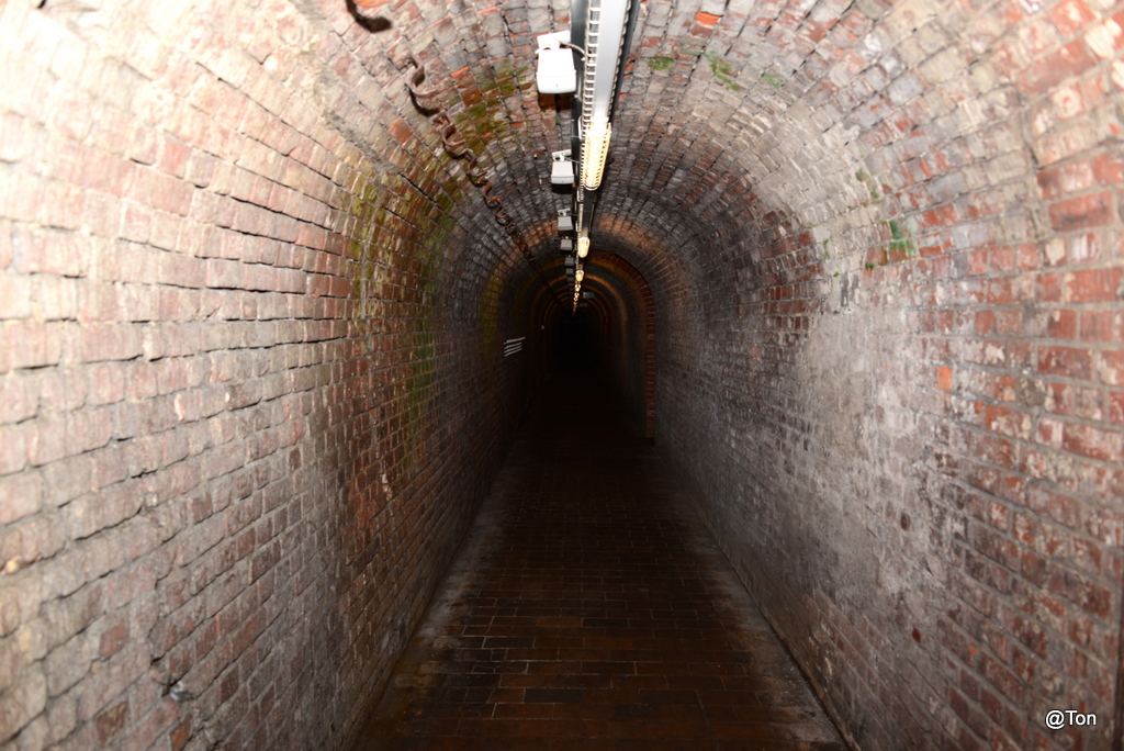 DSC_0591.JPG