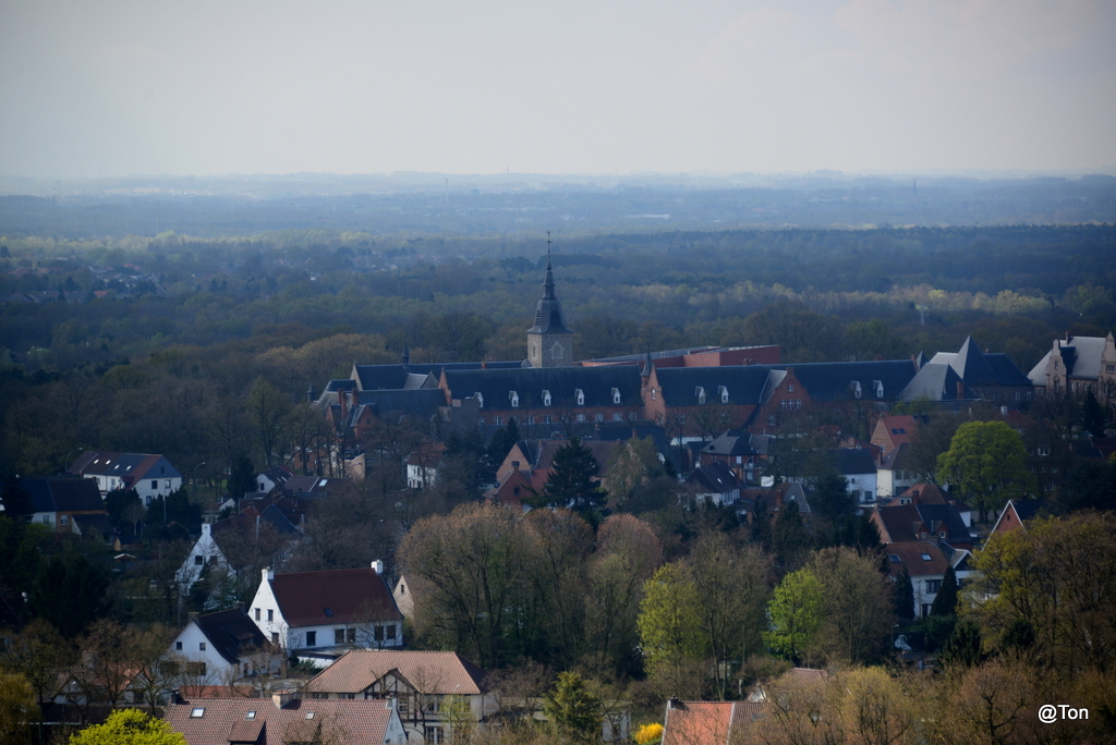DSC_0627.JPG
