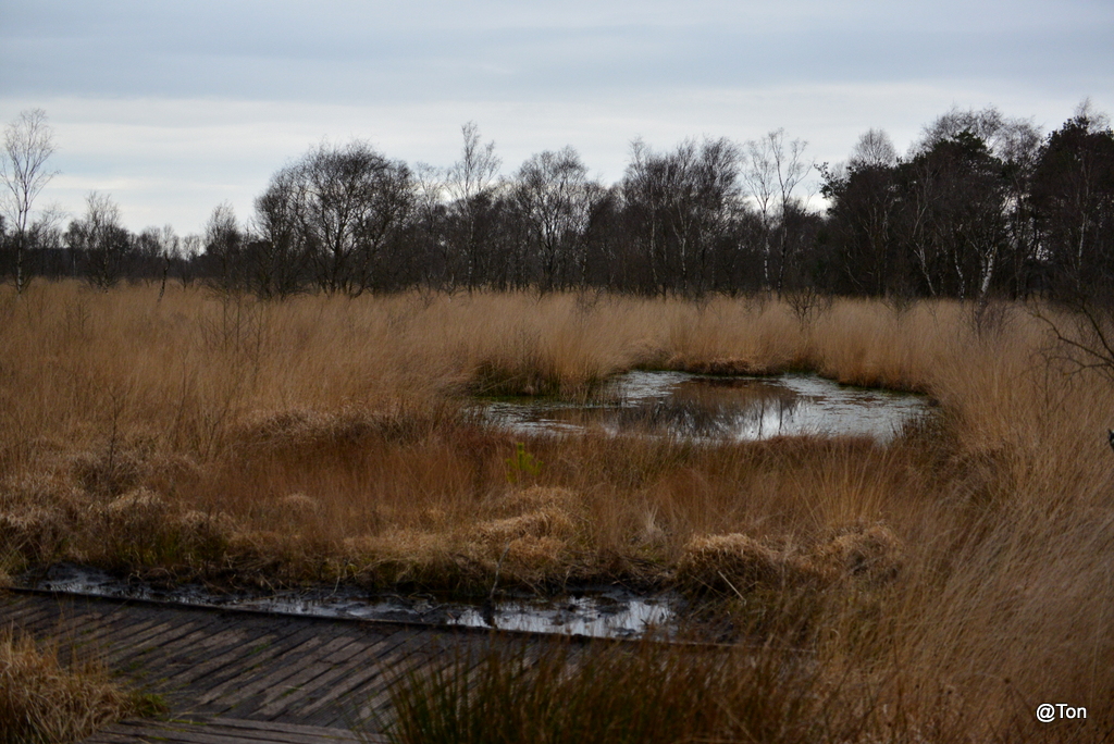 DSC_9755.JPG