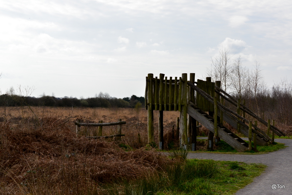 DSC_9856.JPG