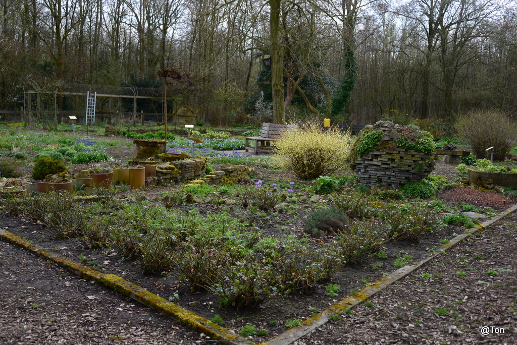 DSC_0194.JPG