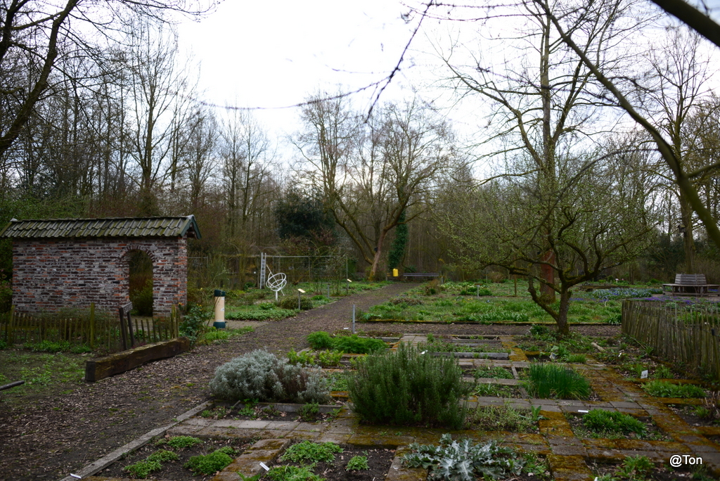 DSC_0202.JPG