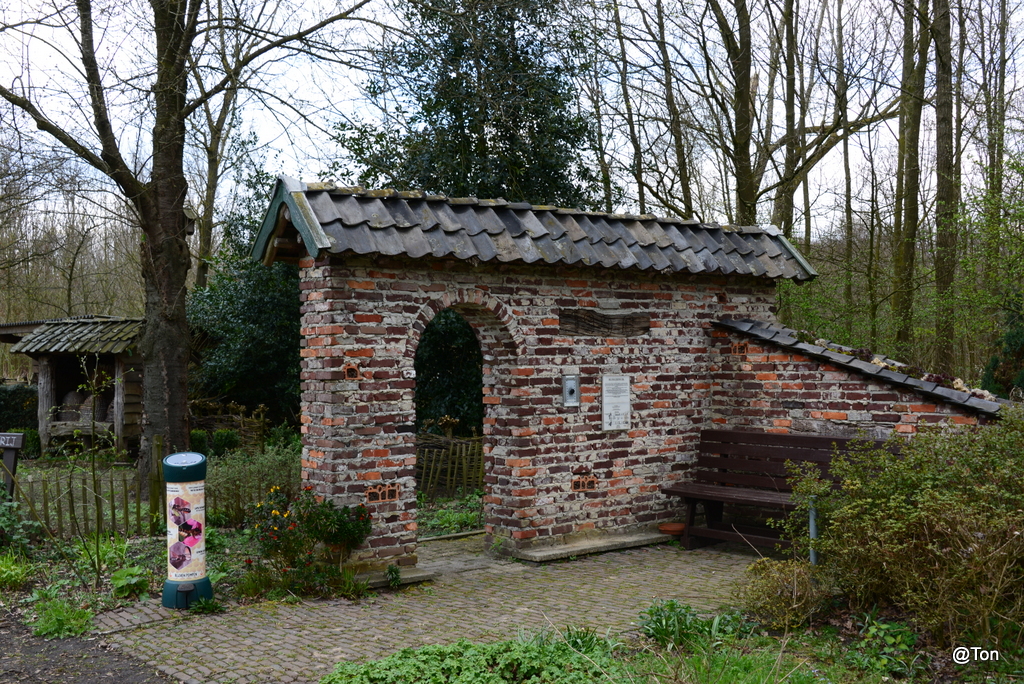 DSC_0205.JPG