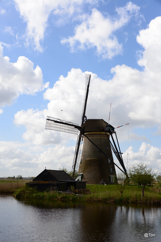 DSC_1143.JPG