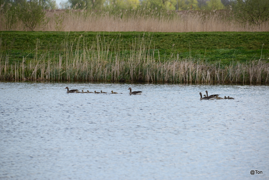 DSC_1146.JPG