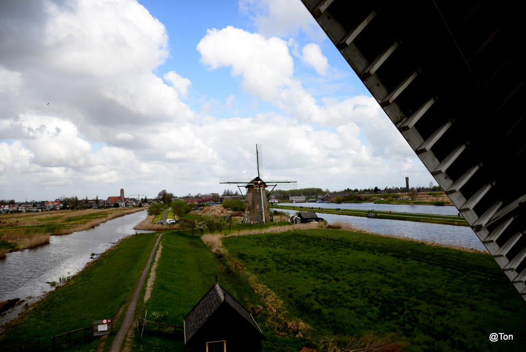 DSC_1169.JPG