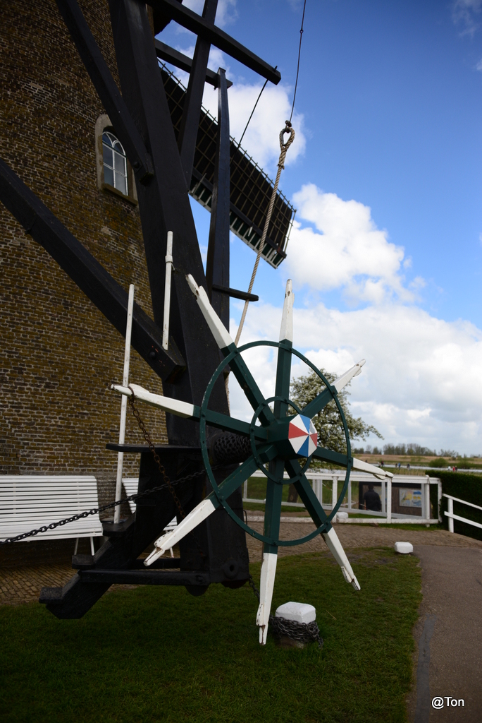 DSC_1181.JPG