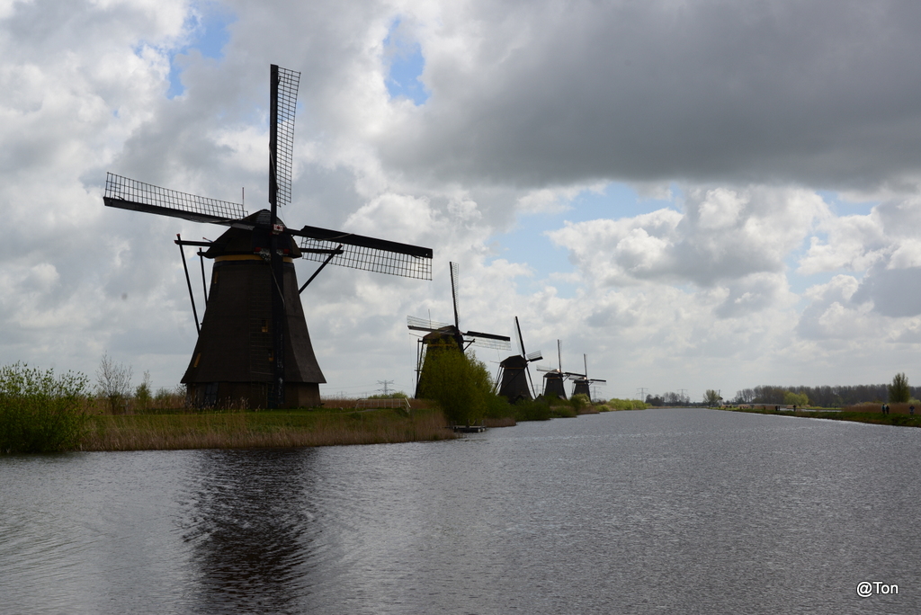 DSC_1201.JPG