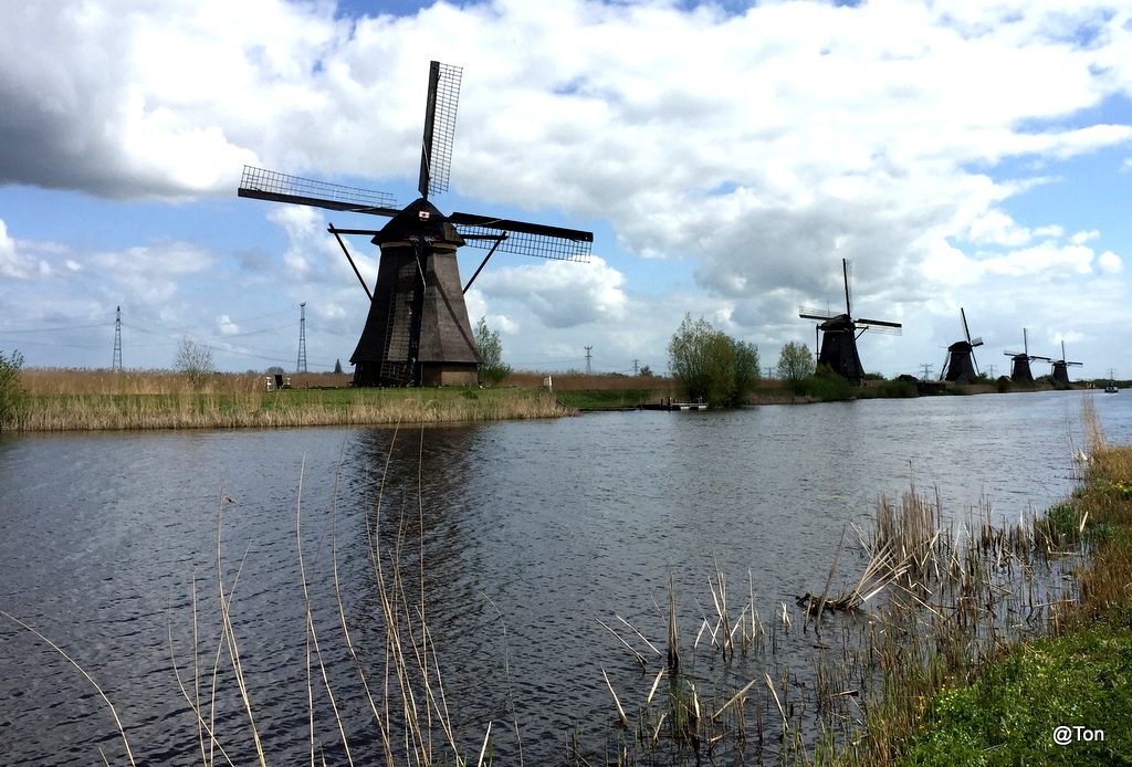 IMG_2621.JPG