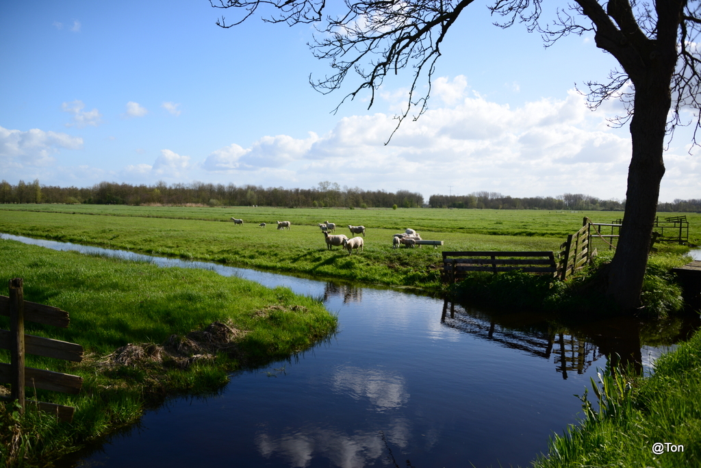 DSC_1335.JPG