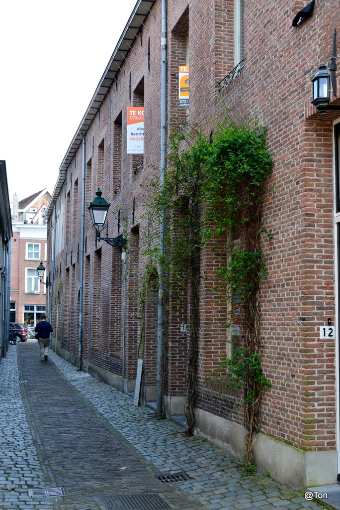 DSC_9444.JPG
