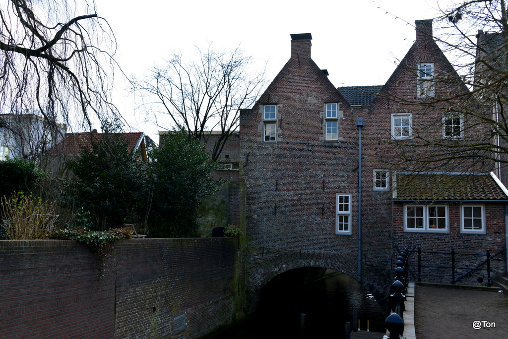 DSC_9448.JPG